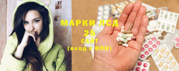 гидра Арсеньев