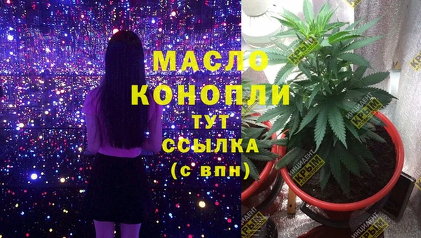 эйфоретик Аркадак