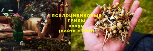 эйфоретик Аркадак